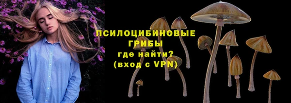тгк Осташков