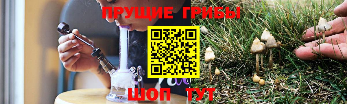 Галлюциногенные грибы мицелий  Вход с VPN  Борисоглебск 
