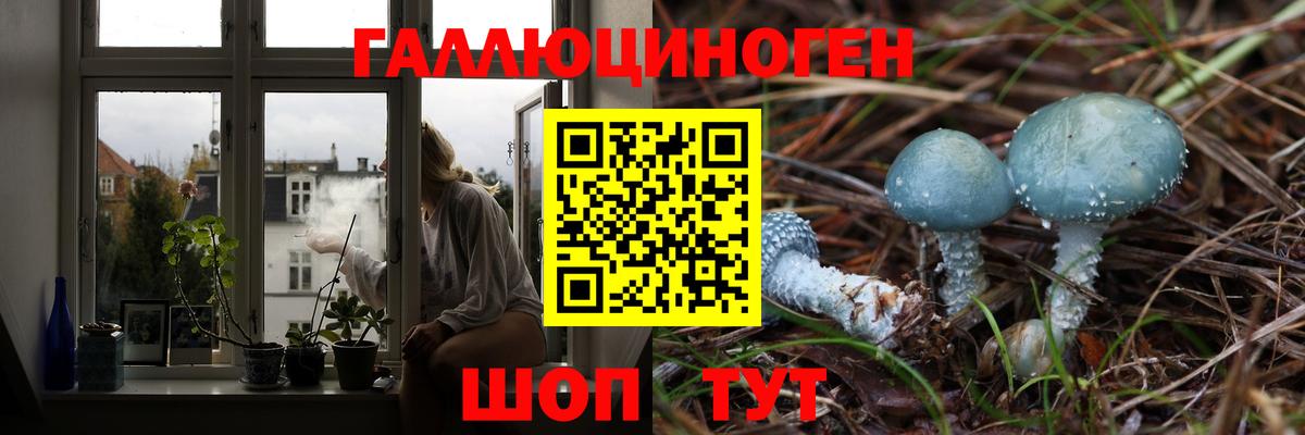 Псилоцибиновые грибы Cubensis  Борисоглебск  Псилоцибиновые грибы ЛСД 